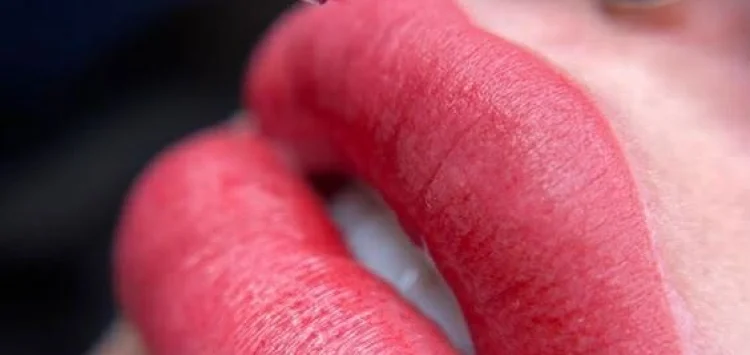 036ec9fe-87cc-4392-ace0-2cb1ec923572