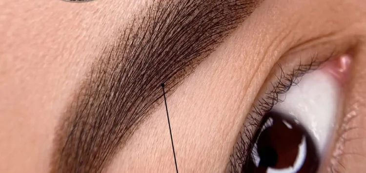 4387fb52-0d61-4a67-bff6-3f21265170fa