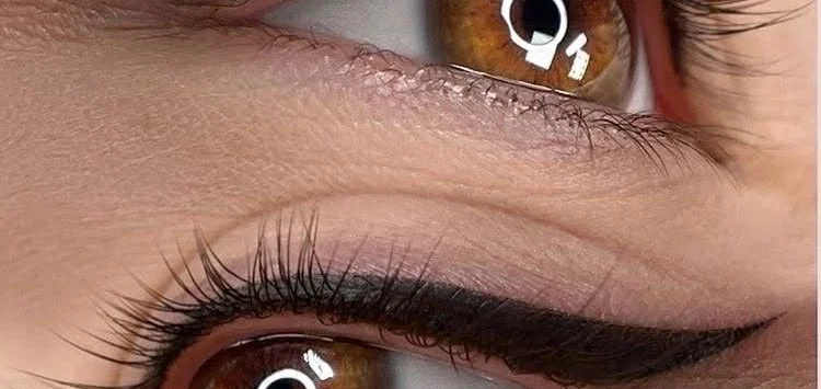 ed806481-8382-4b10-8909-bf34e8e0d559